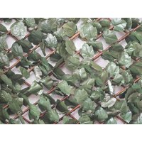 Treillis Extensible Feuilles De Lierre 2 M (2 Treillis 1 X 2 M) - Jardideco
