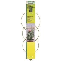 Anneau de Tuteur - Accessoire de jardinage - Trois vertical et trois tuteurs - 16-18 h - Vert
