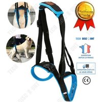 Td® Ceinture Auxiliaire Pour Jambe De Chien Soutien Pour La Marche Dressage Support De Réadaptation Âgé Bleu Animal Compagnie Laisse