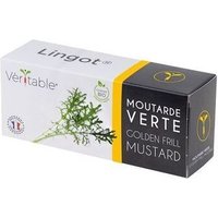 Lingot Moutarde Verte Bio Pour Potager Véritable