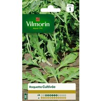 Graines De Roquette Variété "Cultivée" Vilmorin Semis De Mars À Août