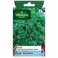 Graines De Persil Variété "Frisé Vert Foncé Race Verbo" Vilmorin Semis De Février À Septembre