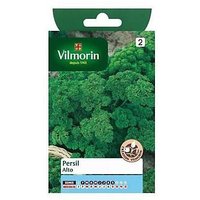 Graines De Persil Variété "Alto" Vilmorin Semis De Février À Septembre