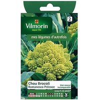 Graines De Chou Brocoli Variété "Romanesco Précoce" Vilmorin Semis De Mars À Juillet
