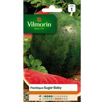 Graines De Pastèque Sugar Baby Vilmorin