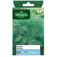 Graines D'aneth Variété "Officinal" Vilmorin Semis D'avril À Mai