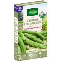 Graines De Fève Variété "Aguadulce" Vilmorin Semis De Février À Mars Et Octobre À Novembre
