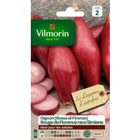 Graines D'oignon Rouge Variété "Rouge De Florence Race Simiane" Vilmorin Semis De Mars À Avril Et D'août À Septembre