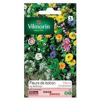 Graines De Fleurs Annuelles En Mélange Pour Balcons