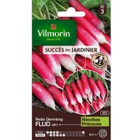 Graines De Radis Variété "Fluo Hf1" Vilmorin Semis De Décembre À Avril