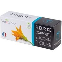 Lingot Fleur De Courgette Bio Pour Potager Véritable