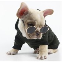 Lunettes De Soleil Pour Animal De Compagnie Chien Et Chat