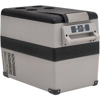Vidaxl Glacière Avec Poignée Noir Et Gris 55 L Pp Et Pe