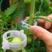 200 Pieces Clips Tomate pour Plantes,Clips pour Grimpantes,Jardin Clips en Plastique,pour légumes,Plantes,Tomates-Blanc