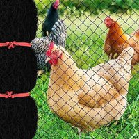 Filet Anti-Oiseaux De 7,6 X 15,2 M Avec Maille Carrée De 2,5 Cm, Filet De Jardin Réutilisable Pour Poulailler, Filet De Volaille En Nylon Pour