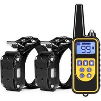 Collier Électrique DEntraînement De Chien Télécommandé Imperméable De 800m Avec 2 Récepteurs