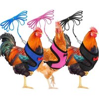 Lot De 3,Taille M Harnais Pour Poule Avec Laisse Réglable Et Respirant Pour Animal Domestique De Compagnie ,Harnais De Poule Pour Canard, Oie, Poule