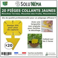 Piège collant jaune - Lot de 20 pcs