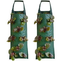 8 sacs de sacs de culture de fraises suspendus