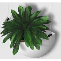 Kit Cache-pot de fleurs suspendu Blanc - suspension de Jardinière Botaniq Artite