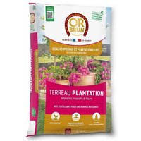 Terreau Plantations - Or Brun - Obrtplan35n - 35 L
