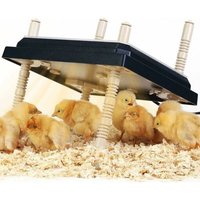 Plaque chauffante pour poussins - Hauteur réglable, économe en énergie, chaleur sûre pour jusqu'à 15 poussins, facile à nettoyer