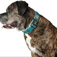 Collier Hunter - 67166 - Collier Hilo Vario Plus L Neck Turquoise