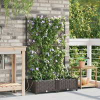 Jardinières Vidaxl Avec Système D'irrigation D'eau 2 Pcs Marron