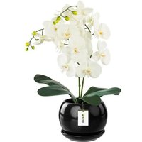 Pot De Fleur Noir Avec Soucoupe Rond Dimensions 170 Mm X 160 Mm Surface Brillant Céramique Glamour Moderne