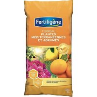 Terreau Plantes Méditerranéennes Et Agrumes Fertiligène 6l
