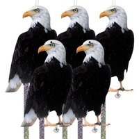 Lot de 5 répulsifs anti-oiseaux en forme de chouette