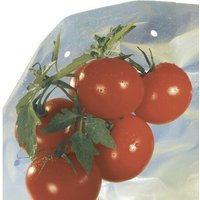 Housse De Croissance Tomate Tomatotube En Film Perforé Jaune - Avec Liens