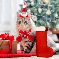 Tenue De Noël Pour Chat, Joli Bonnet Et Écharpe Pour Chat Festif, Vêtements De Noël Pour Chat, Décoration De Costume De Noël Pour Chat Pour Prendre