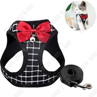 Td® Petit Chien Harnais Marche Chien Chat Corde Ensemble Chat Personnalité Poitrine Dos Traction Corde Mignon Chat Chien Harnais