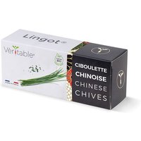 Lingot Ciboulette Chinoise Bio Pour Potager Véritable
