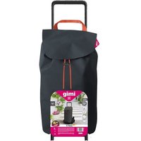 1 X CHARIOT DE SHOPPING TRIS en gris ebEne