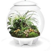 Oase - Terrarium Automatisé 30l Blanc Air30white