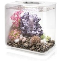 Oase - Aquarium 15l Led Blanc Flow 15 Mcr White