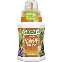 12 XGESAL ENGRAIS POUR PLANTES SUCCULENTES 250 ML