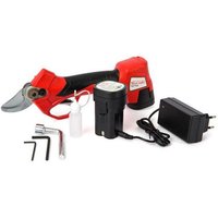 1 XCISEAUX A BATTERIE EDUARD 25 PRO