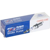 10 XBOUGIE 21C TORCHE GL4C POUR TONDEUSE A GAZON