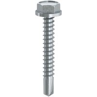100 XBOULON AUTOPERCEUR. TE 6.3X 60 AMBROVIT