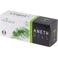 Lingot Aneth Bio Pour Potager Véritable