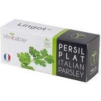 Lingot Persil Plat Bio Pour Potager Véritable