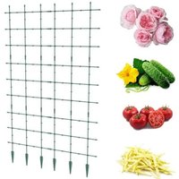 Support de jardin pergola treillis échelle plantes grimpantes fleurs plantes 120x180 cm