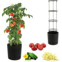 Pot Pour Tomates, Concombres, Haricots Grimpants, Fleurs, Culture, Ø40cm, Anthracite + Insert
