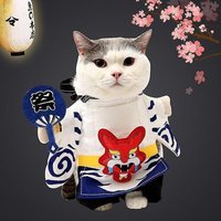 Costume De Cosplay Pour Chat, Vêtements Pour Chat, Pétard, Pirate, Cow-Boy, Vêtements Mignons, Gadgets De Pirate, Chaton Fantaisie, Chapeau Pour