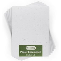 LETNERNY-Blooming Papier Ensemenc¿¿ - Lot De 25 Feuilles ¿¿ Planter