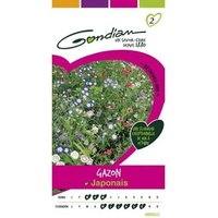 Gondian - Gazon Japonais