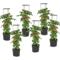 6x Plant De Tomates En Jardinière Plastique 18 L, Planteur De Tomates, Pot À Tomates, Cache Pot, Légumes, Cultivation Des Tomates